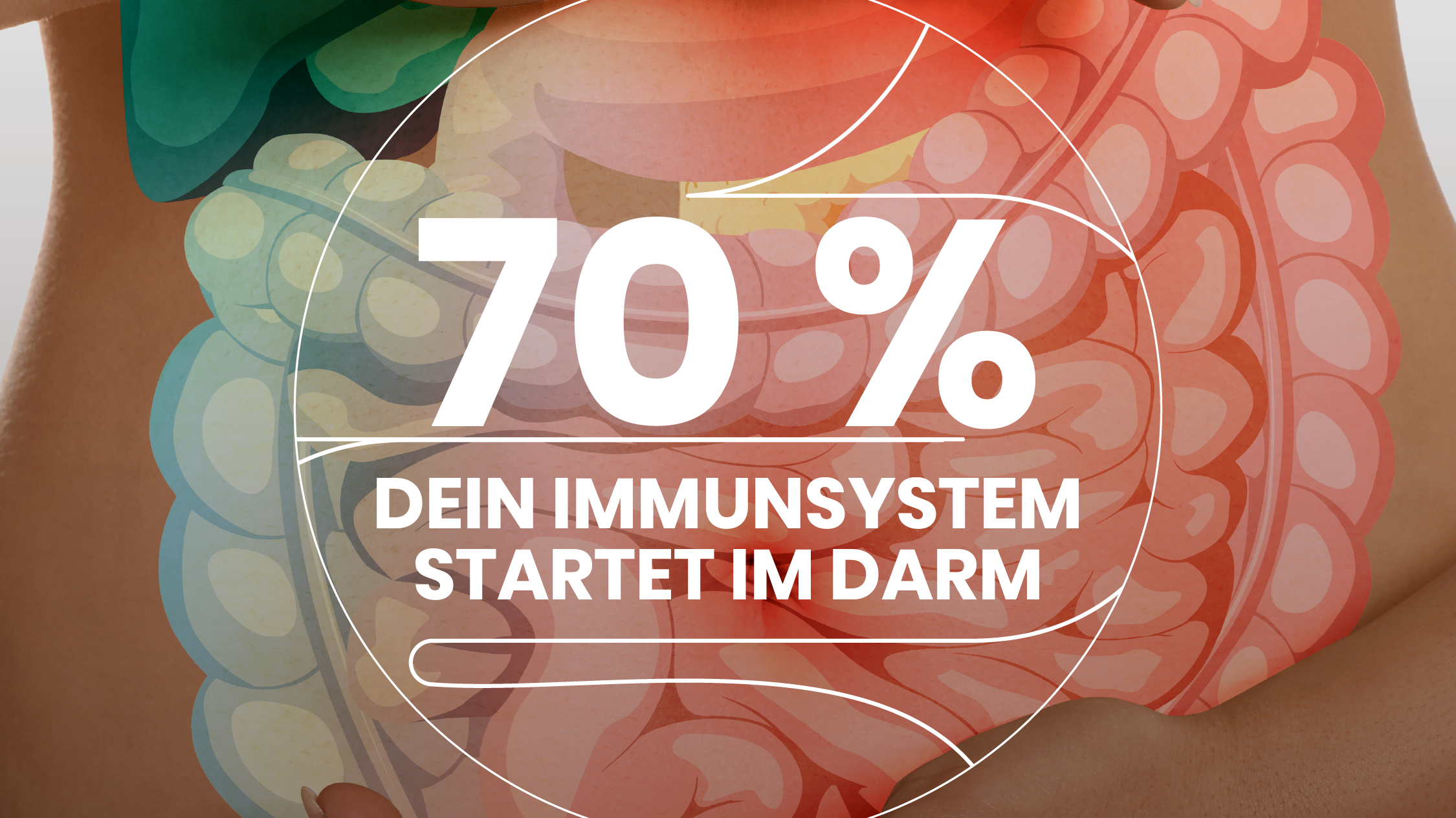 Immunsystem & Mikrobiom: Warum 70 % Ihrer Abwehr im Darm sitzen