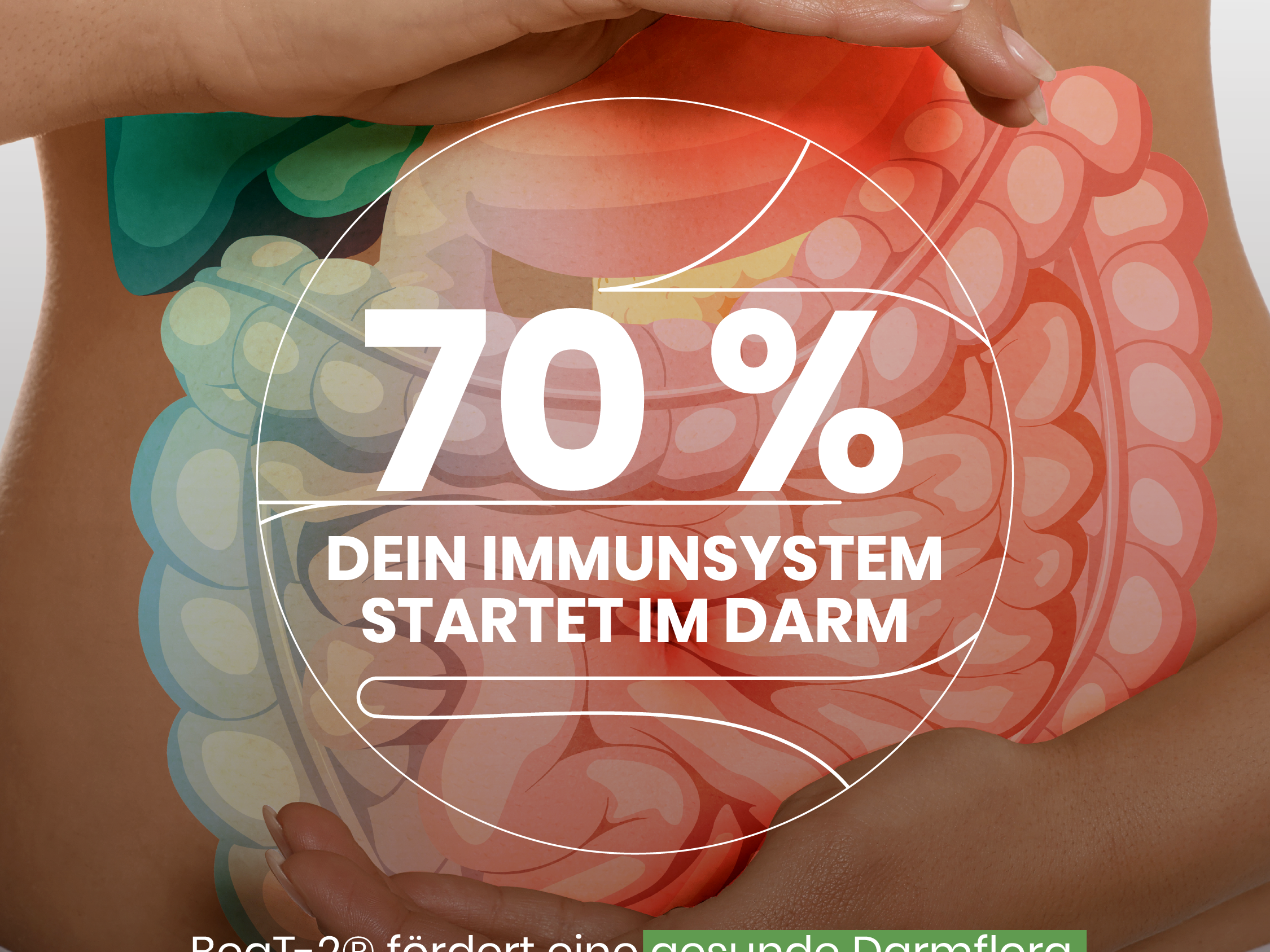 Immunsystem & Mikrobiom: Warum 70 % Ihrer Abwehr im Darm sitzen