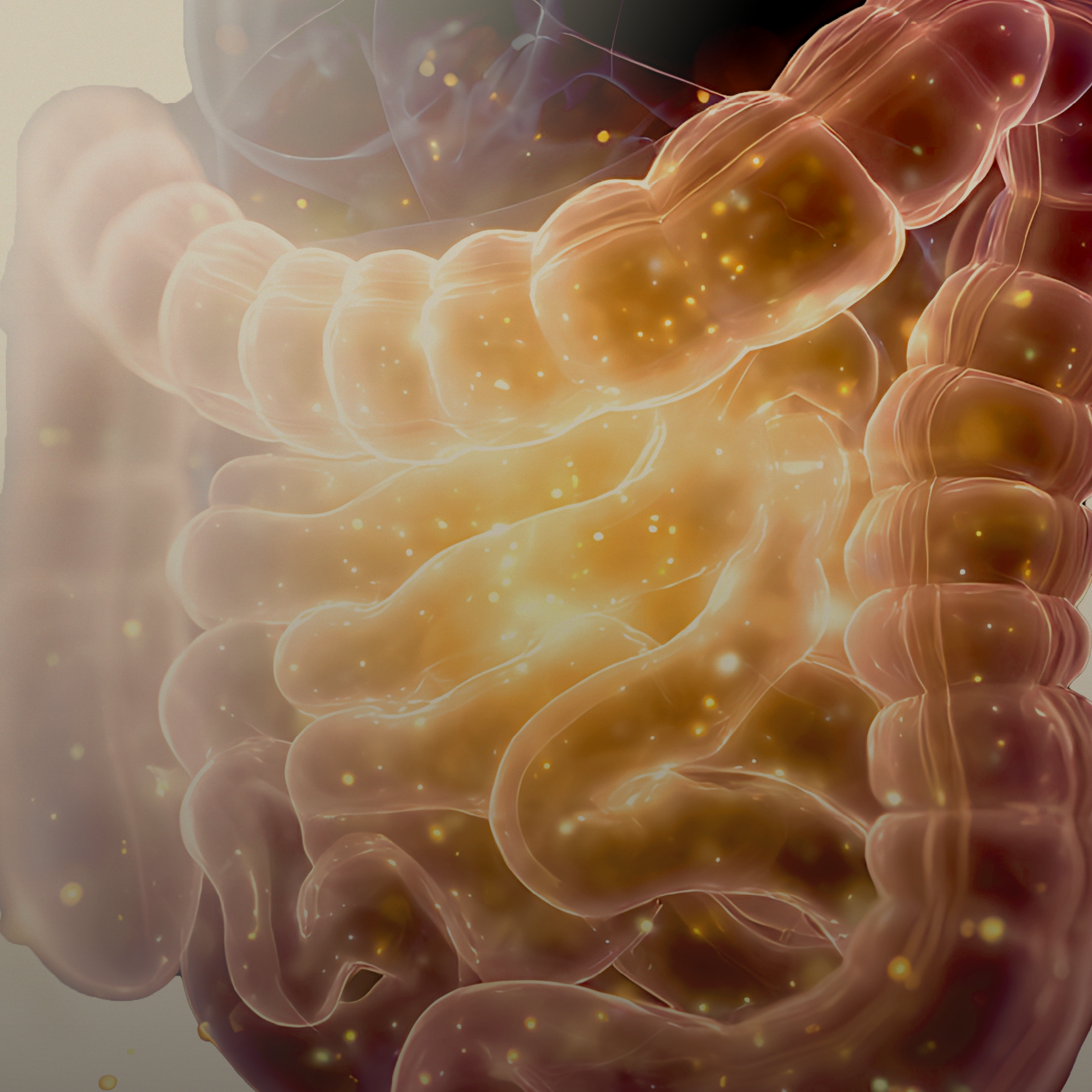 Wie Ihr Darm Ihren Blutzucker steuert