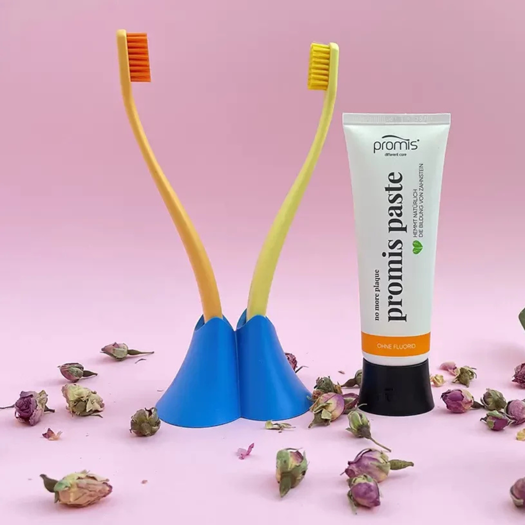 Warum wir unsere Zahnbürste alle 3 Monate wechseln sollten